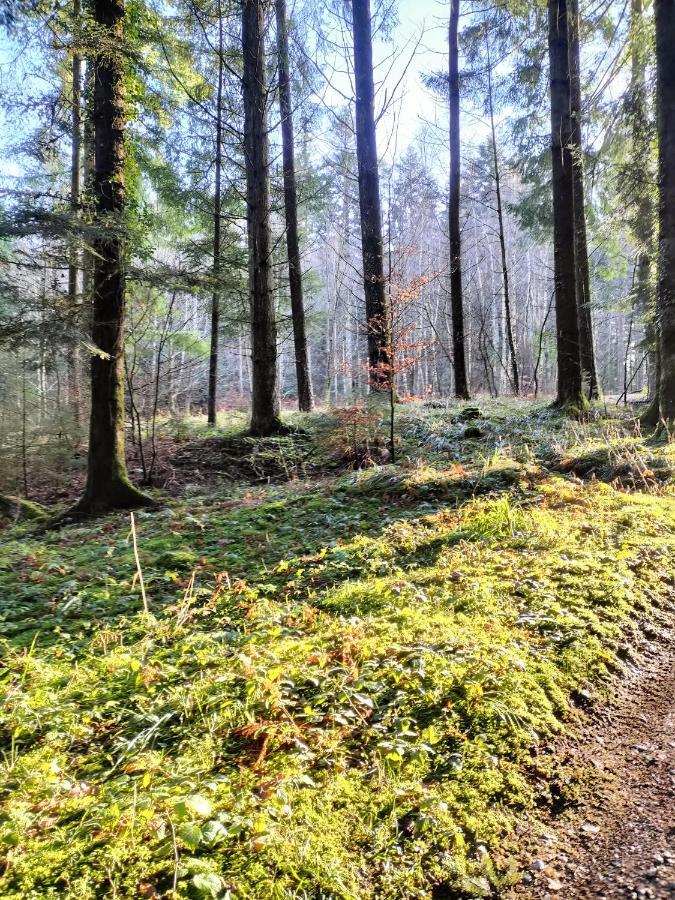 Les Hortensias La Souris Des Champs Étival-Clairefontaine Dış mekan fotoğraf
