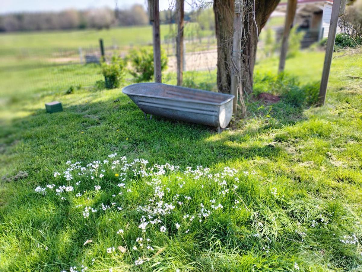 Les Hortensias La Souris Des Champs Étival-Clairefontaine Dış mekan fotoğraf